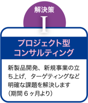 プロジェクト型コンサルティング